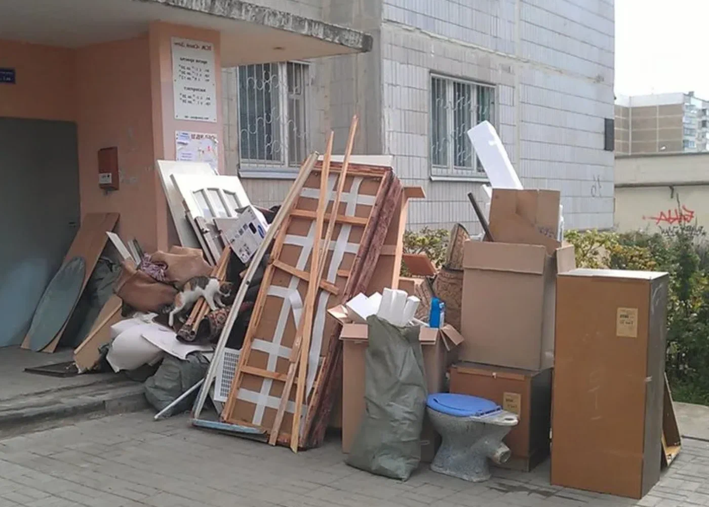 Профессиональный вывоз мусора из квартиры в Юбилейном в октябре