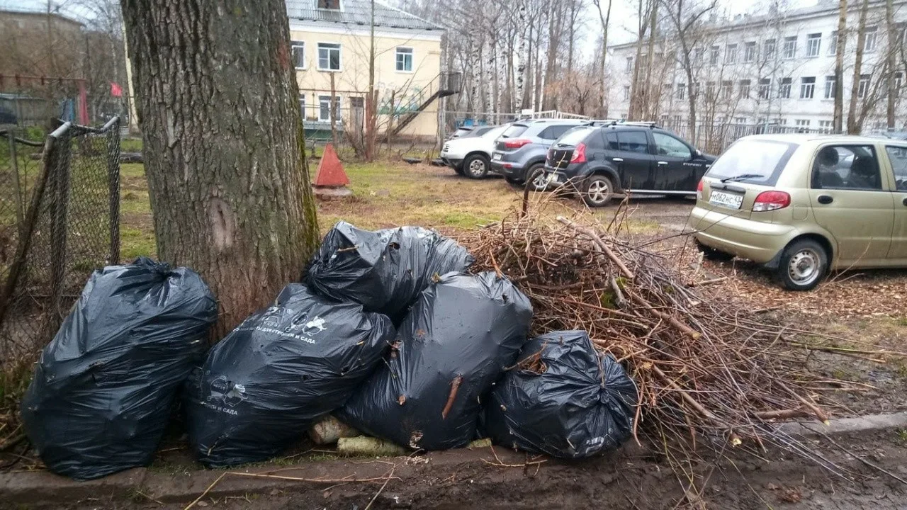 Вывоз мусора после субботника в Юбилейном от ПроМусор – уборка и утилизация отходов от 2421 руб