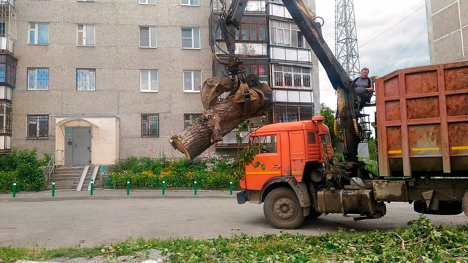 Вывоз спиленных веток и деревьев в Юбилейном от ПроМусор: порубочные остатки, утилизация, цена от 2988 руб