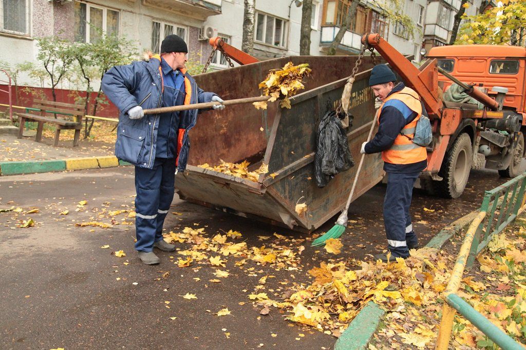 Вывоз опавшей листвы и растительного мусора в Юбилейном от ПроМусор – цена от 4636 руб., быстрая уборка и утилизация